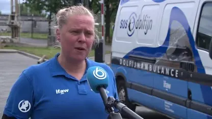 Dolfijn Zafar stierf door aanvaring met een boot