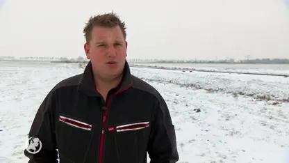 Onverlaten stelen 100 drachtige schapen uit weiland