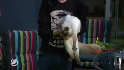 Maaike en Bram wonen nu in een vakantiehuisje