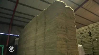 Eerste prefab hennepwoning ter wereld staat in Oude Pekela