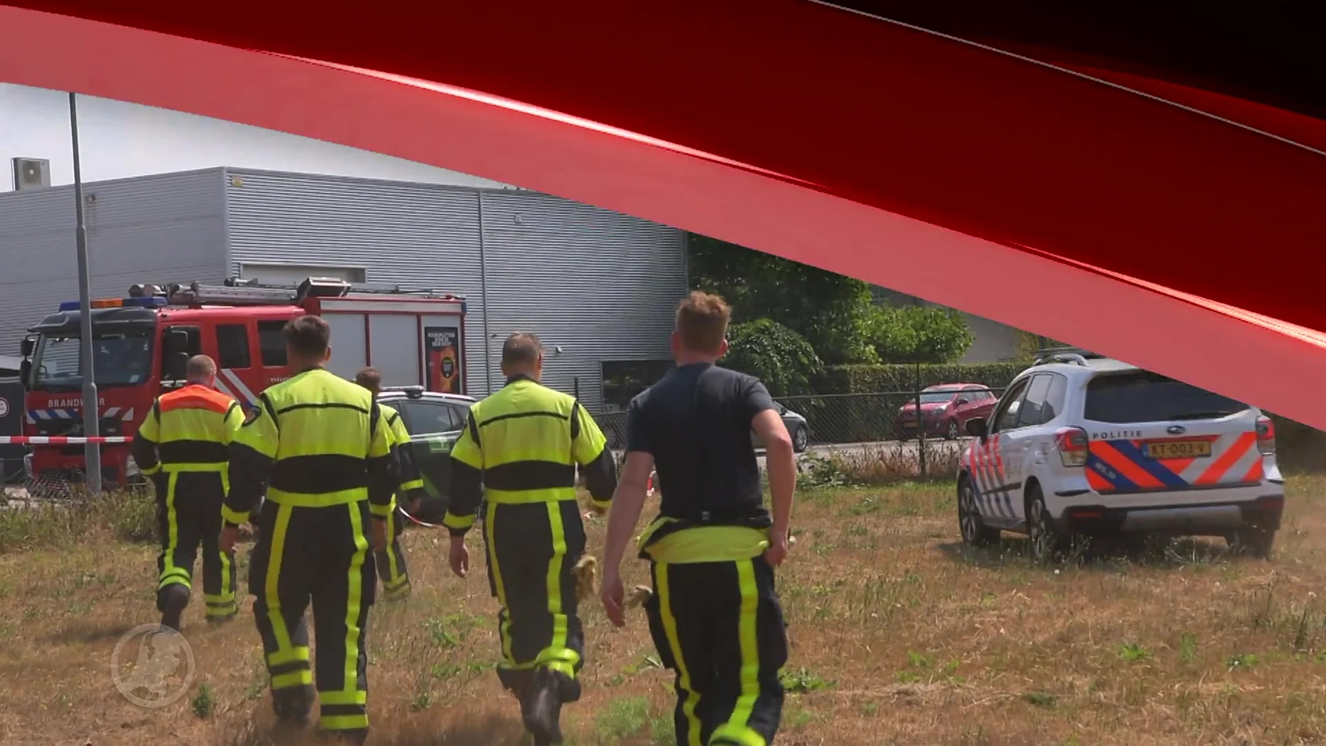 Ree gered van braakliggend terrein, overlijdt alsnog