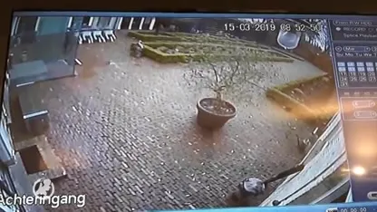 Zeldzaam wild dier loopt los in Oosterhout, enthousiasme bij bewoners