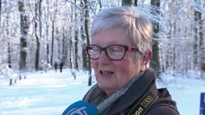 Sleeën, schaatsen en wandelen: volop winterpret in Limburgse Vijlen