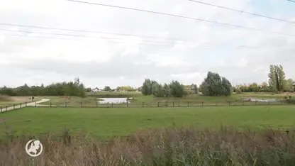 'Online date' in park blijkt hinderlaag: man wordt beroofd en mishandeld