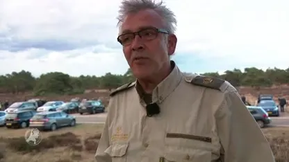 Herten burlen zich het apelazerus in bronsttijd: paarseizoen is begonnen!