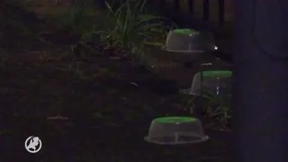 Twee schietpartijen in Diemen en Amsterdam binnen paar minuten