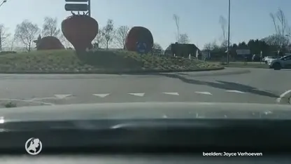 Urenlange files in Uden voor verse aardbeien: 'Klanten komen zelfs uit Drenthe'