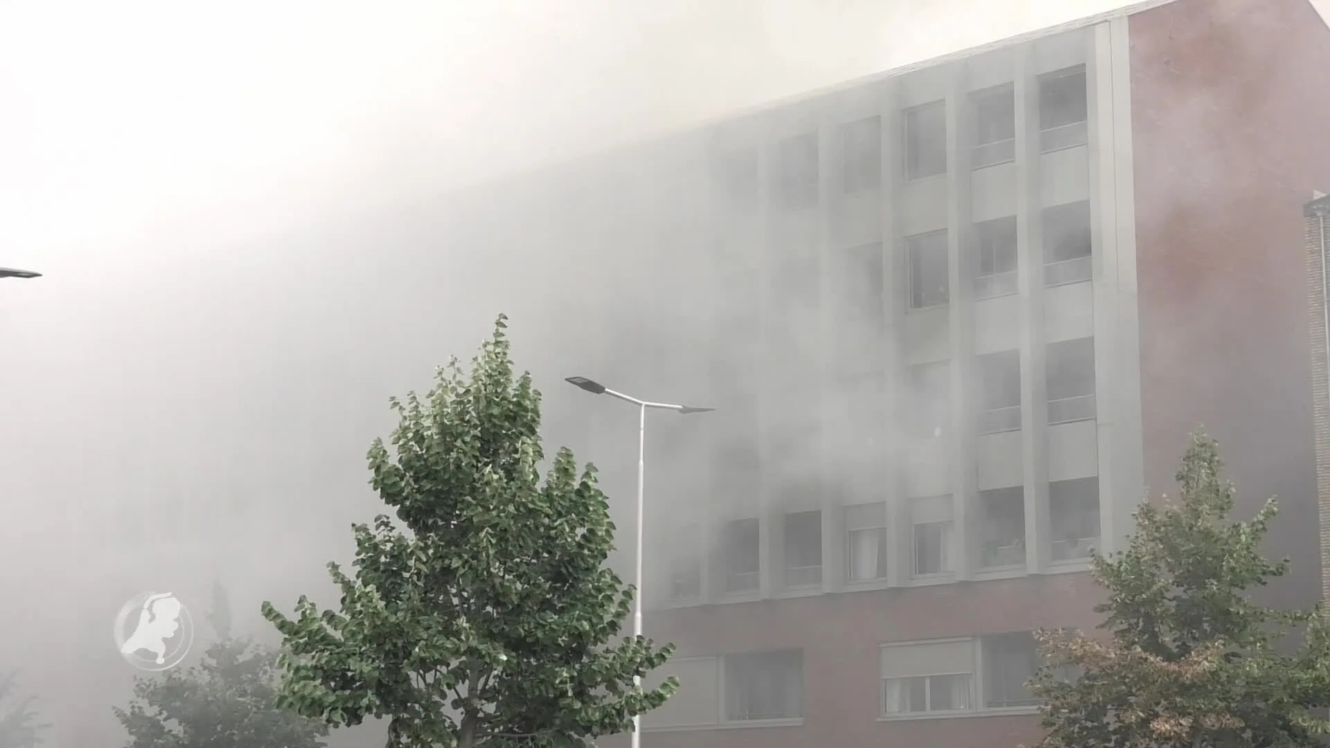 Brand in poeliersbedrijf Arnhem onthult hennepkwekerij