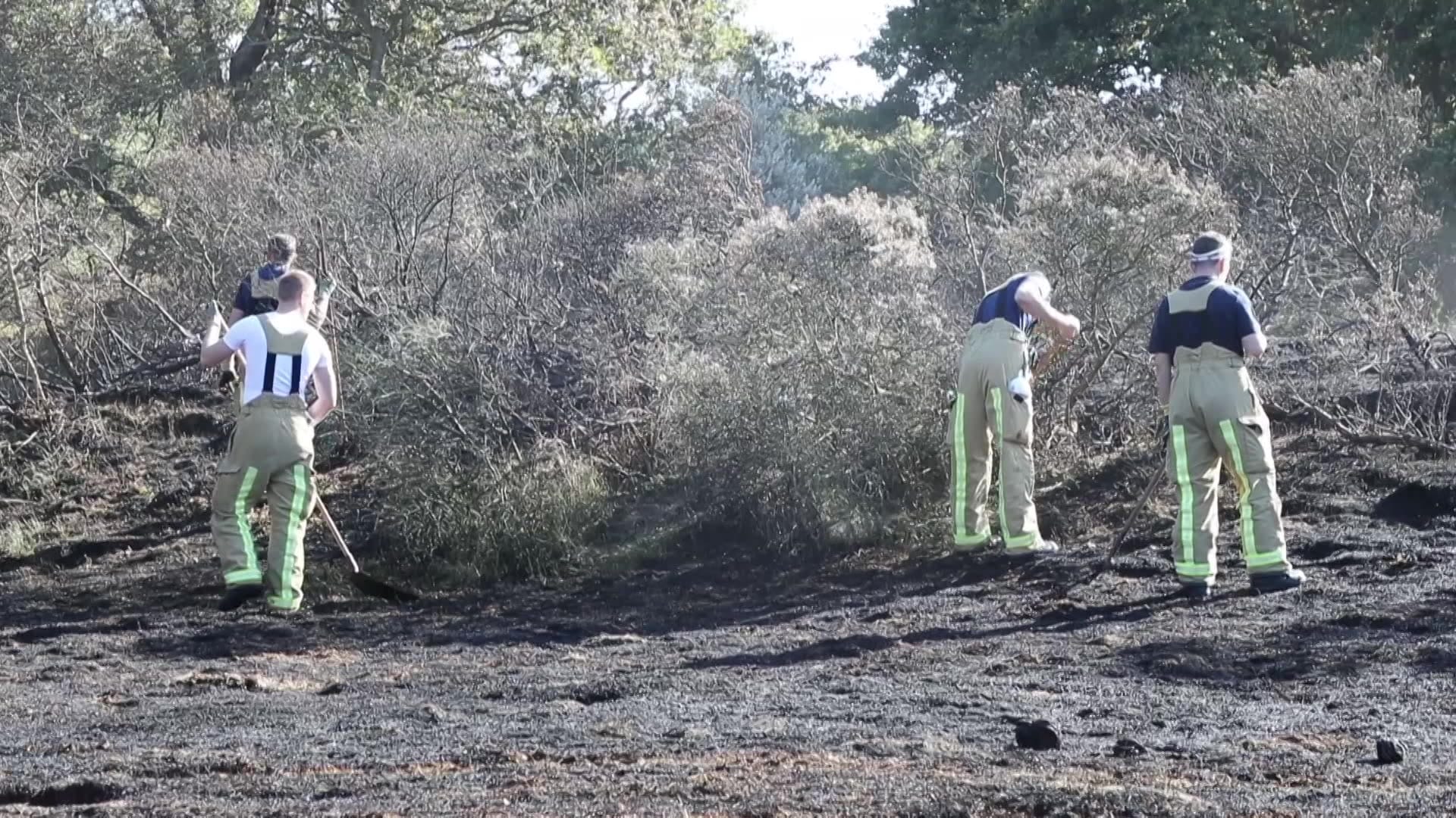 Brand in duingebied Scheveningen
