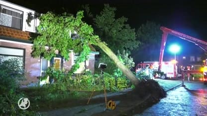 In hele land overlast en schade door noodweer