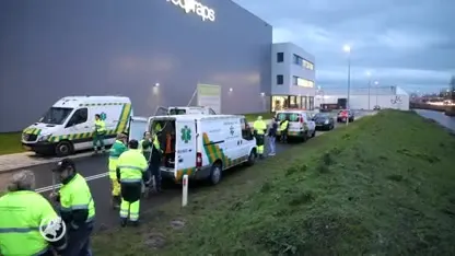 Tientallen vogels met frituurvet besmeurd in Aalsmeer: 'Te triest voor woorden'