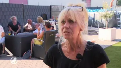 Brunssum geteisterd door vliegenplaag: 'Door de hitte is de overlast nog erger'