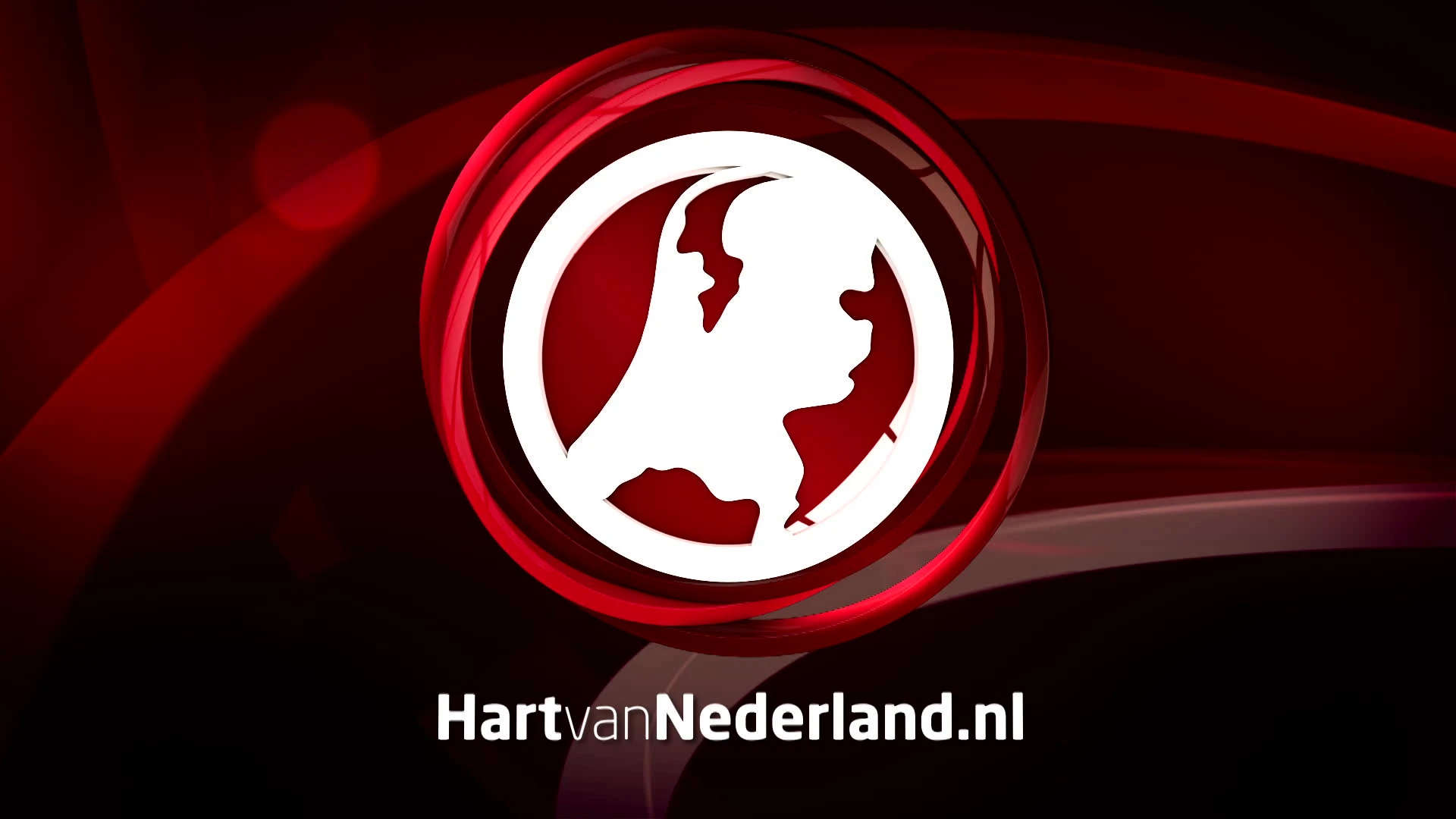 Grote politieactie in Tilburgse woonwijk trekt veel bekijks