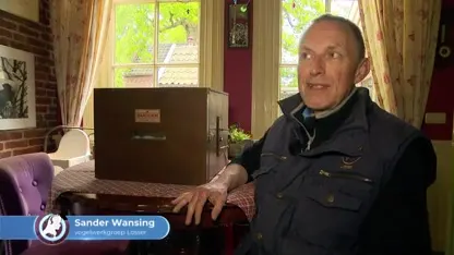 Eieren van doodgeschoten ooievaar De Lutte in veiligheid gebracht