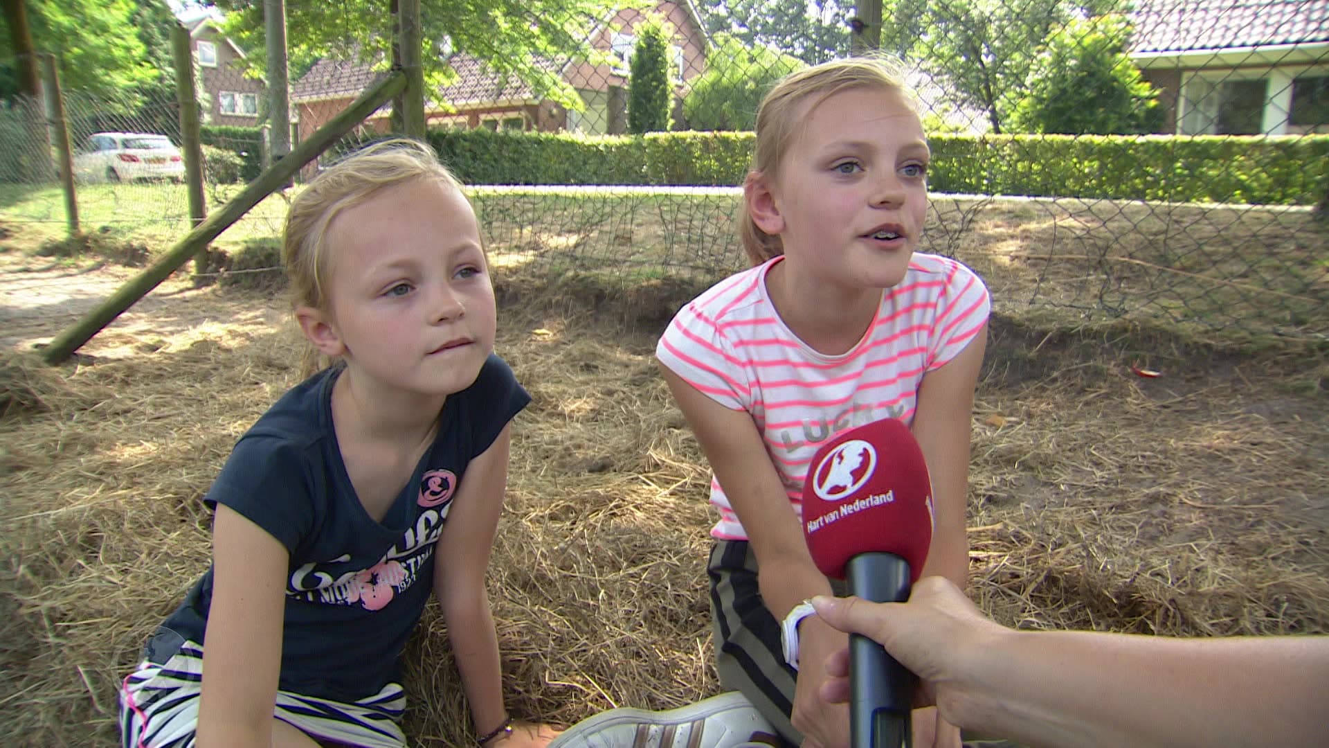 Zusjes Evi (12) en Sanne (8) kapot van verdriet na diefstal verzorgpony's