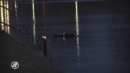 Automobilist omgekomen bij ongeval op N377 bij Coevorden