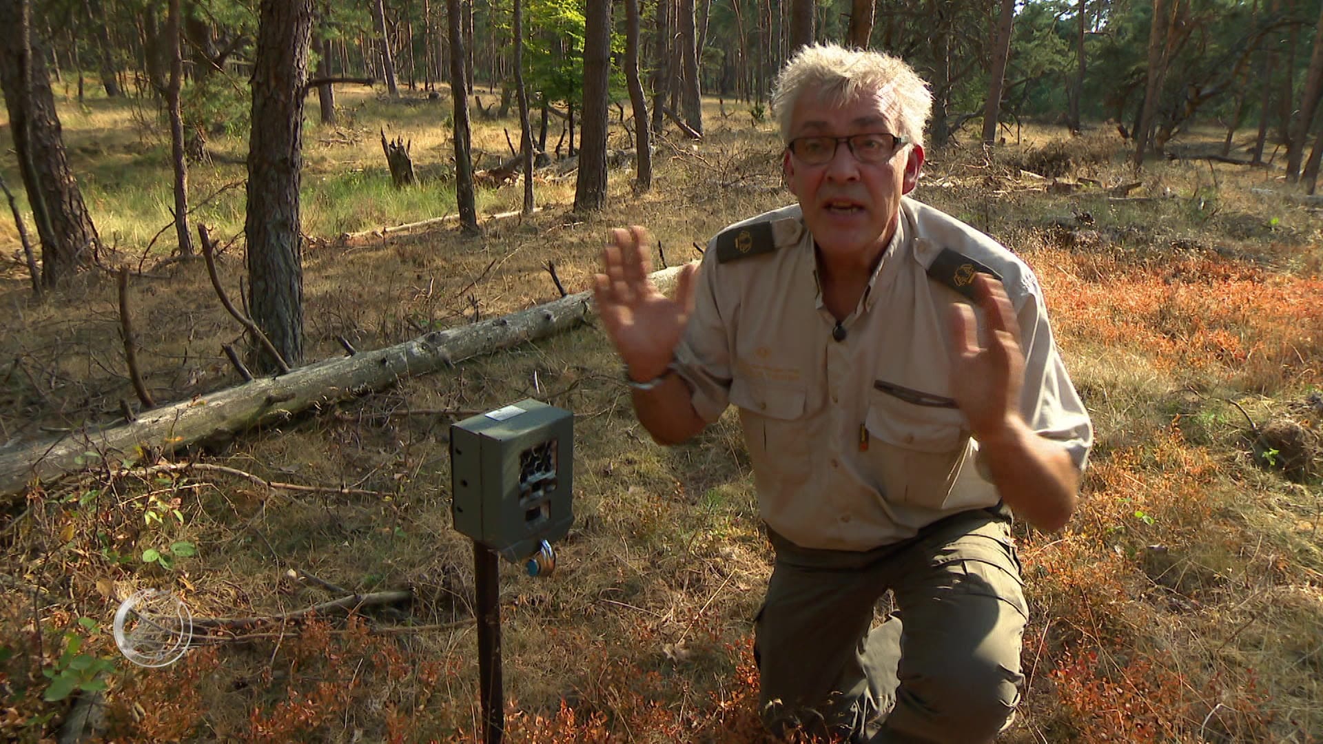 Wild spotten in Park Hoge Veluwe... gewoon vanuit je stoel