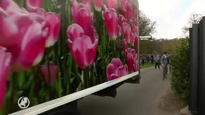 Bloemenman kijkt urbi et orbi dit jaar thuis: 'Normaal zit ik op 5 meter van de paus'