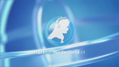 Veel hulpdiensten bij auto te water in Delft