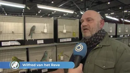 Zwolle is voor even het vogelparadijs van de wereld