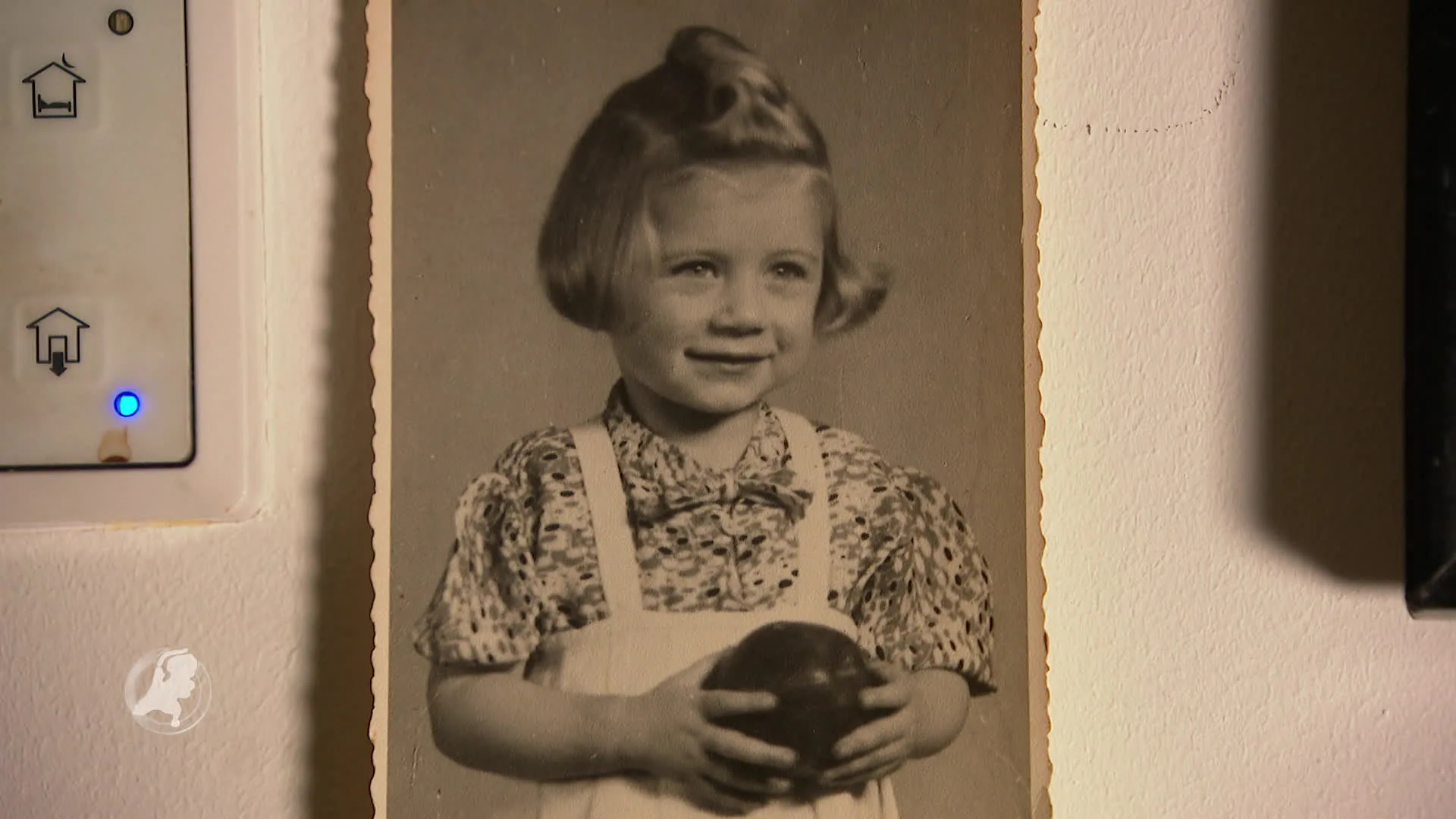 Wat vindt Nederland: moet de regering excuses aanbieden aan 'moffenmeiden'?