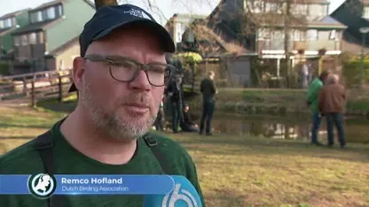 Boswachter Thomas door het dolle heen: superzeldzame papegaaiduiker gespot