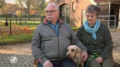 Teckel Limo na 11 jaar herenigd met haar baasjes