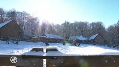 Je zou het bijna vergeten: het is vandaag Warmetruiendag