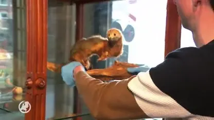 Meest bijzondere gevonden voorwerpen geschonken aan Spoorwegmuseum