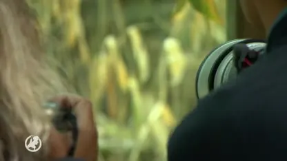 Dit is waarom een dagje dierentuin zoveel duurder is geworden