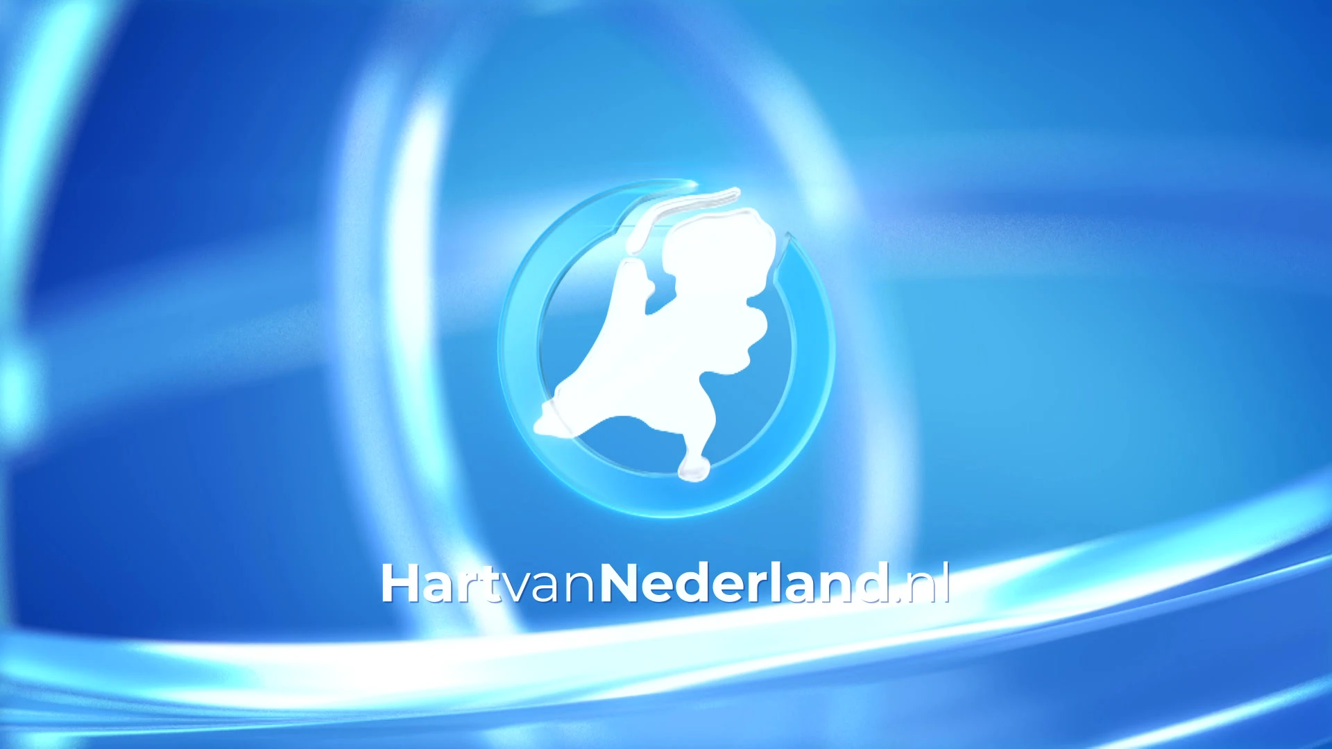 Gesprongen waterleiding zet straat Goirle blank