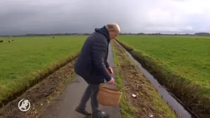 Vijf koeien dood door lege blikjes, overleeft Jacoba 135 het wel?