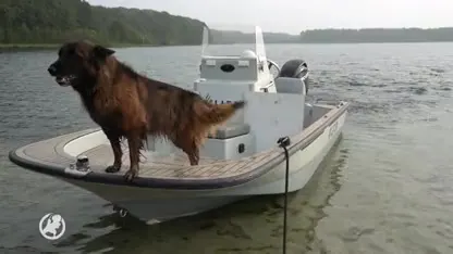 Hockeyvader Sacco Tange nog altijd spoorloos: zoektocht met hond, boot en helikopter