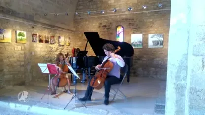 Waardevolle cello's van Lynah (8) en familie gestolen