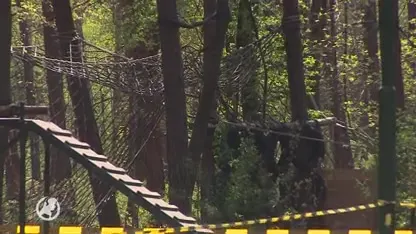 Asbest vrijgekomen bij allesverwoestende brand hondentrainingscentrum