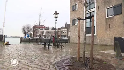 Hoe is Edward Maat om het leven gekomen in 2011?