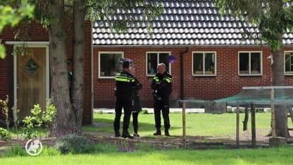 Ooievaar doodgeschoten vanuit een auto in De Lutte