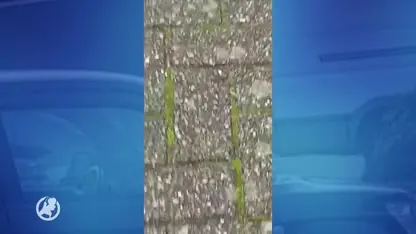 Buren 34-jarige terreurverdachte Zoetermeer