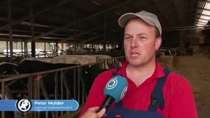 Vergeet rattengif; deze jager schiet op ratten: 'Beetje uit de hand gelopen'