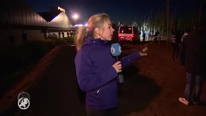 Bezetting varkensfokker Boxtel wordt 'in overleg met OM en politie beëindigd'