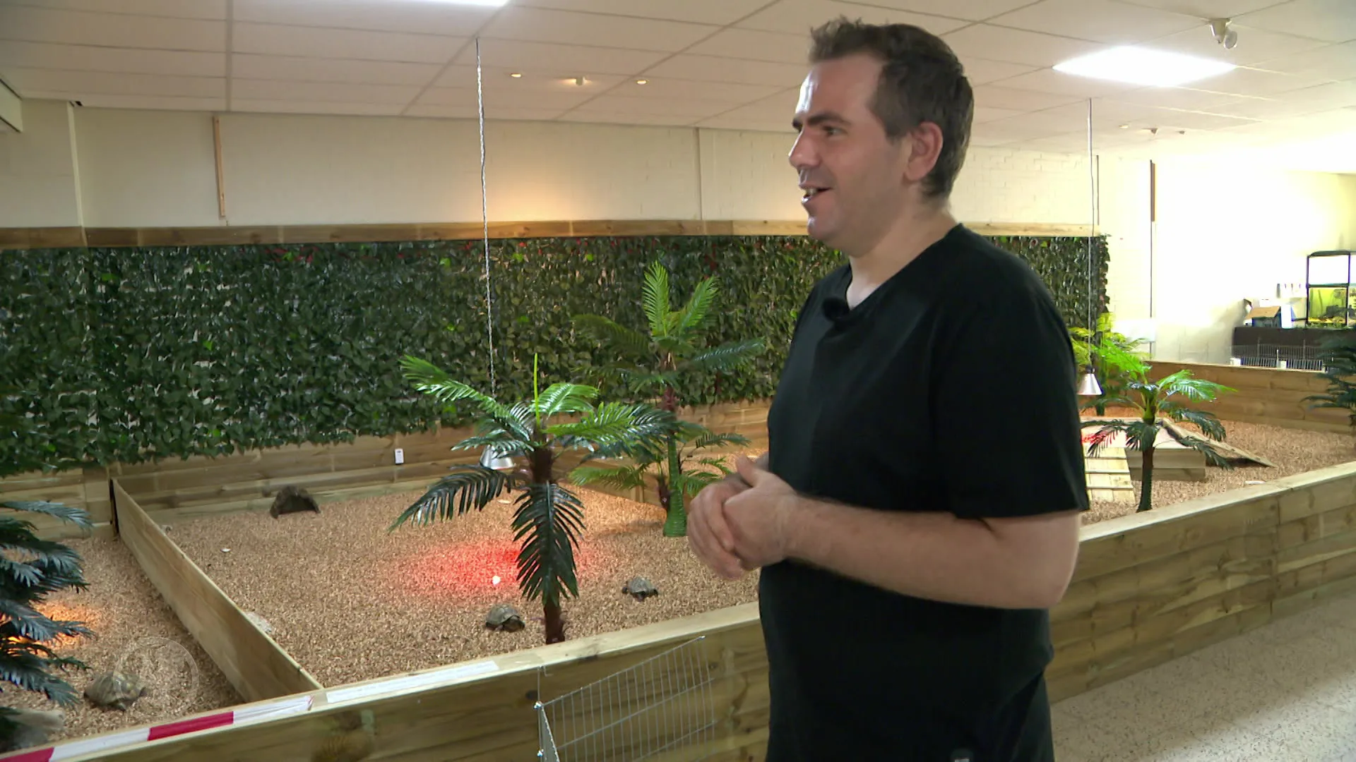 Schildpaddenopvang verhuist alle 800 bewoners