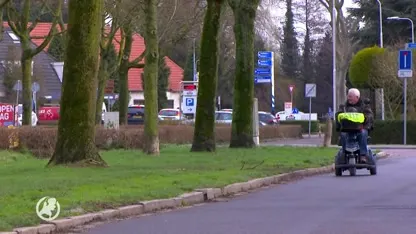 Schadevergoeding voor schildersziekte