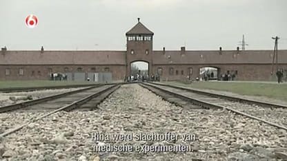 Rina en Maurits overleefden Auschwitz en doen hun verhaal