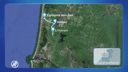 Op hol geslagen paarden weer veilig op stal