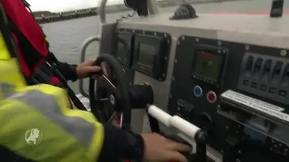 Gezegende dierendag voor verstrikte zeehond