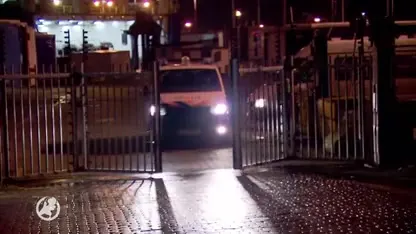 Tientallen verstekelingen gevonden op vrachtschip Vlaardingen