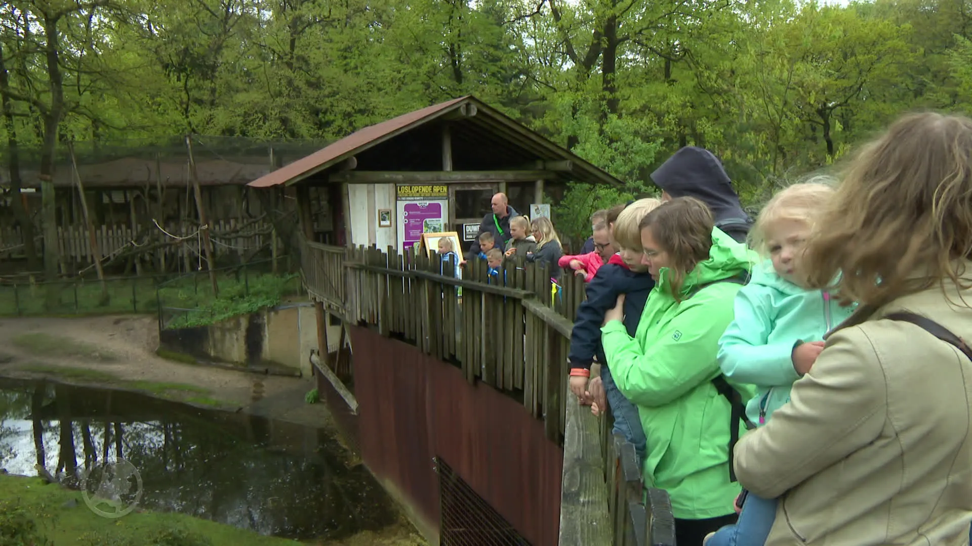 Hoera! Slingeraap Pepi viert 50ste verjaardag