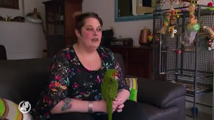 Bijna-bruiden slapen slecht na grote brand in bruidsmodezaak Lelystad