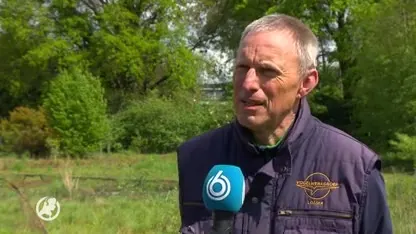 Drama in De Lutte: opnieuw ooievaar omgebracht