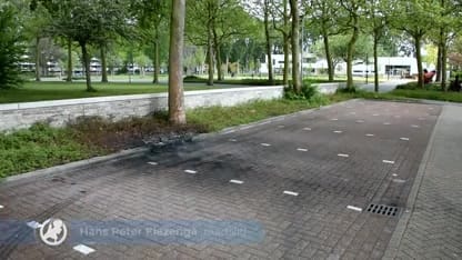 Leidschendammers geteisterd door 'reljeugd'